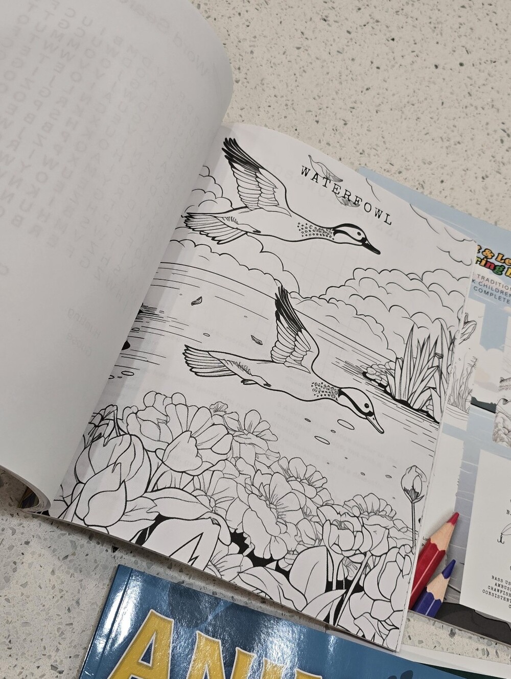 Hunt & Learn Coloring Book Collection - Picture 5 of 8